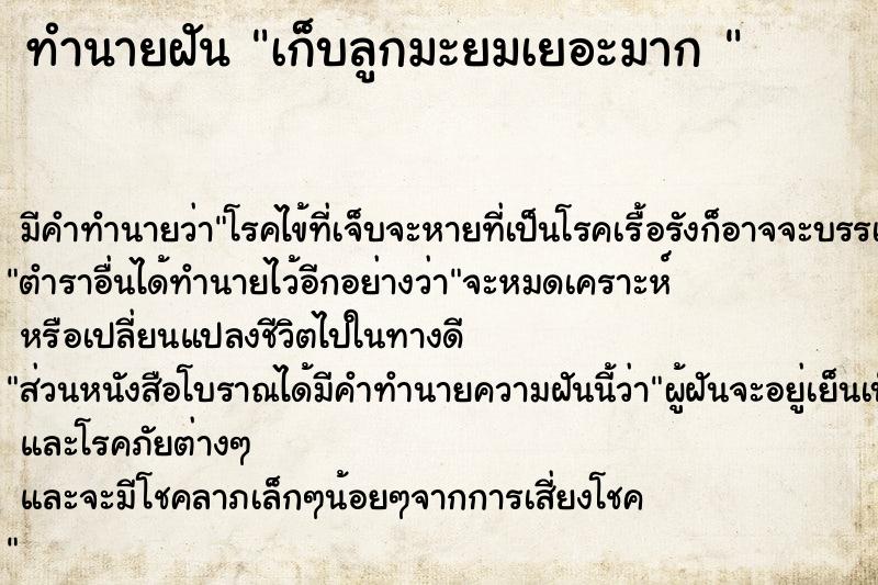 ทำนายฝันทำนายฝันเก็บลูกมะยมเยอะมาก